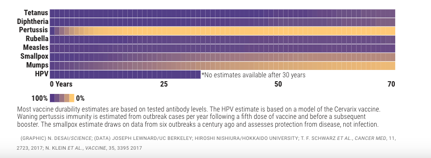 A graph showing the vaccine durability of different viruses (Tetanus, Diphtheria, Pertussis, Rubella, Measles, Smallpox, Mumps, and HPV) over a span of 70 years. Most vaccine durability estimates are based on tested antibody levels. Tetanus, Diphtheria, Rubella, Measles, and Smallpox vaccines last up to 70 years. Pertussis vaccines, however, wane after 1 to 2 years. The smallpox vaccines: after about 25 years. The mumps vaccine: after about 14 years. HPV? Throughout 30 years, at which point there are no estimates available beyond that time.